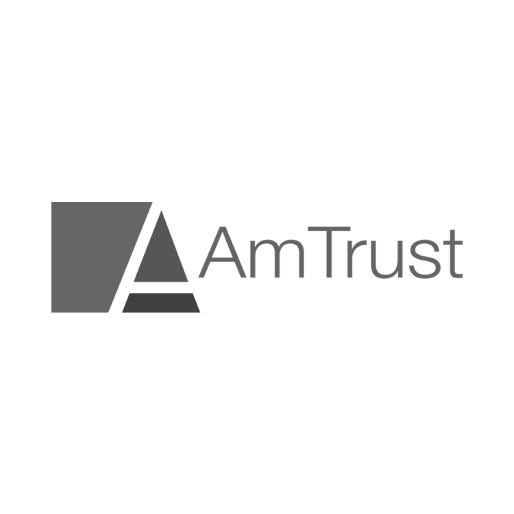 AmTrust_greyscale